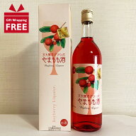【ギフト包装無料】やまもも酒 720ml 万大醸造 11度 ヤマモモ 山桃 リキュール 伊豆 静岡 お土産 化粧箱…