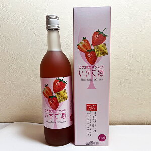 yMtgz  720ml ɓ  L[ Xgx[  C`S  ɂĂ yY ɓ 