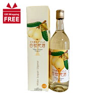 【ギフト包装無料】白枇杷酒 720ml 万大醸造 土肥名醸 白びわ 白ビワ びわ 枇杷 リキュール 静岡 伊豆 お…