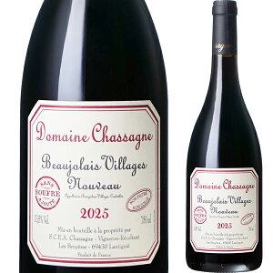 y\񏤕izh[k VT[j {[W B[W k[H[ SO2Y [2025] 750ml q {W[ k[{[ V tX ԃC KC _h~ Rh i`