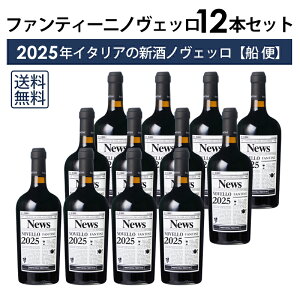 y\񏤕izy{BEl͑z t@eB[j mFb [2025] 12{ Zbg D t@l[[ mxb V C^A P[X  2026N1ח\