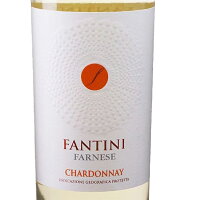 【本州・四国は送料無料】ファンティーニシャルドネお買い得12本セット750ml×12本イタリアアブルッツオ白ワイン辛口ケース