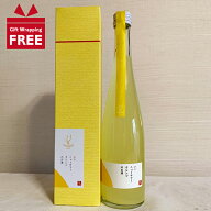 【ギフト包装無料】ニューサマ—オレンジのお酒 500ml 瓶 伊豆東ワイン 静岡 伊豆 伊東 夏蜜柑 お土産 プ…