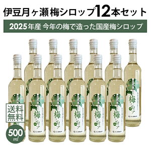 y{BEl͑zɓ  ~Vbv 500ml 12{Zbg 2025N ~ ~̗ Y Y ~W[X mAR[ ɓ  yY lCyMtgΉzybZ[