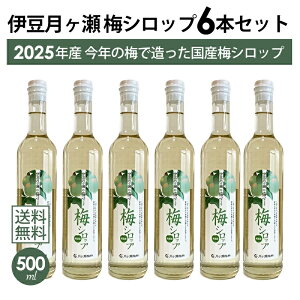 y{BEl͑zɓ  ~Vbv 500ml 6{Zbg 2025N ~ ~̗ Y Y ~W[X mAR[ ɓ  yY lCyMtgΉzybZ[W
