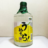 新夏蜜柑酎 うめえら！ 720ml 万大醸造 東海自動車 ニューサマーオレンジ酎 うめぇら 柑橘系焼酎 25度 ニ…