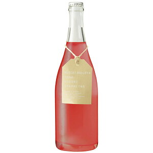 Vg[ }XJbgx[A [ ɂ Xp[NO [2024] 750ml Vg[܃Ci[ ɂ Xp[NOC A [ h R b{ }XJbgx[A