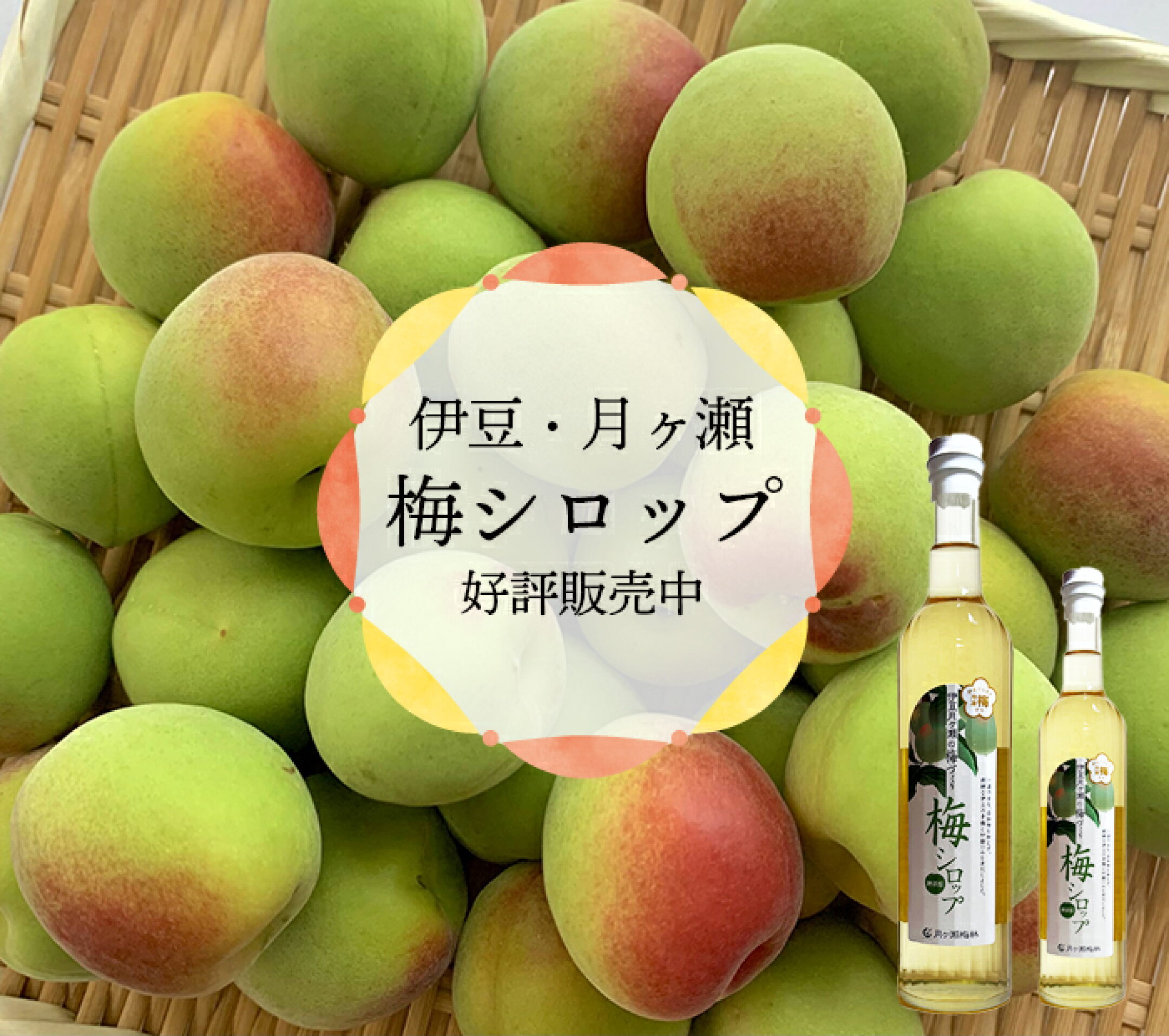 伊豆月ヶ瀬梅シロップ