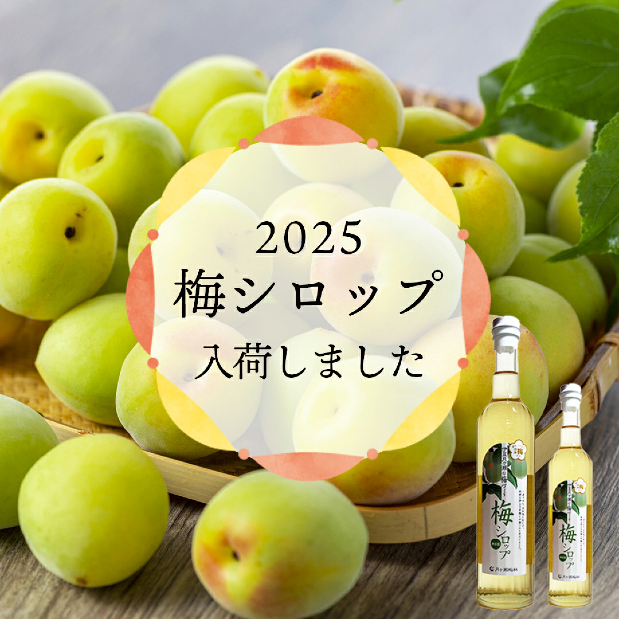 伊豆月ヶ瀬梅シロップ入荷しました