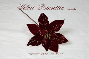 yn70NIV܃NX}Xc[Xzxxbg|CZ`Aio[KfB[j NX}X  k  Mtg  fBXvC G  c[