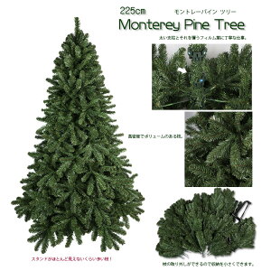 yEElc[zNX}Xc[ 225cmg[pCc[ Pi  ̃{[ 225cmc[ ƒŏő勉 ݂̖ NX}X Ins