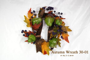 yn70NIV܃NX}Xc[Xz I[^ [X 30-01  k  H nEB NX}X  EFJ