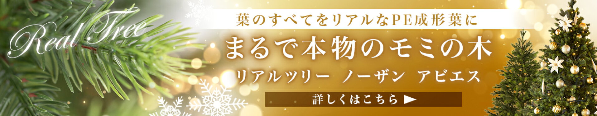 リアルツリー ノーザンアビエス