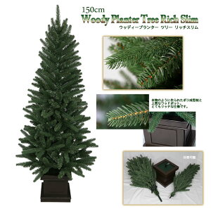 yEElc[z NX}Xc[ A 150cm ݂̖ EbfB[v^[c[b`X