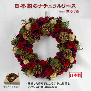 yn70NIV܃NX}Xc[Xz {̃i` [X i؂₮Xj  k  H nEB NX}X  EFJ