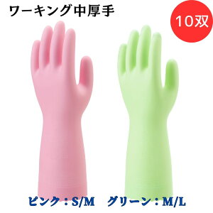 y|Cg10{zV[O[u SYOWA [LO10o 111 Xxɂ ʂ͂߃X[Y 2ނ̃J[isNAO[j RۖhLH