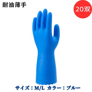 y|Cg10{zV[O[u SYOWA ϖ 20o No.160 ϖ ẘo Xxɂ ʂ͂߃X[Y