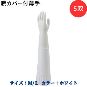 y|Cg10{zV[O[u SYOWA rJo[t 5o No.240 rŜJo[ ẘo Xxɂ rŜی Soht