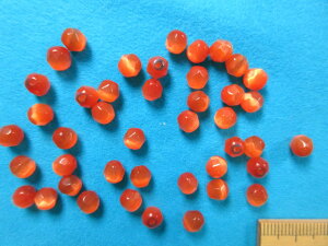 LbcACiKXr[Yj@5×5mmIWn