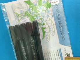 在庫処分手芸キット水彩画風ぬり絵ブルースター（お部屋華やぐペンで描く）