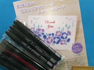 |LbgԂƃJOtB[̃bZ[WJ[hpW[ihGŐFÂj