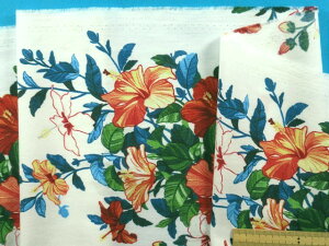 ȃvgni\tgHjnCrXJXEIt×ԁi120cm@2mj