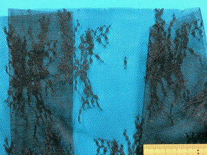 ݌ɏbZ[XnԁEi135cm@1D5mj