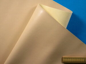 ݌ɏ琶nijx[Wi135cm@50cmj