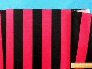 ݌ɏȃvgIbNXnXgCvEZsN×i110cm@1mj