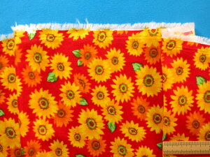 ȃ_uK[[nЂ܂E×CG[i110cm@1mj