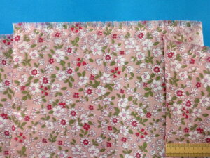 ȃ_uK[[nԃsNi110cm@1mj