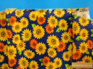 ȃ_uK[[nЂ܂E×CG[i110cm@1mj