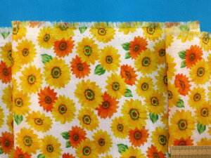 ȃ_uK[[nЂ܂EIt×CG[i110cm@1mj