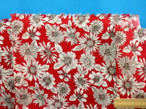 ȃ_uK[[nԁEԁi110cm@1mj