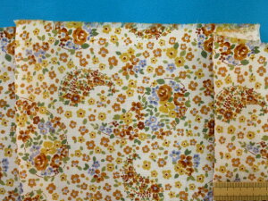 ȃ_uK[[n/yCY[It×CG[i110cm@1mj