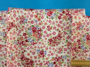 ȃ_uK[[n/yCY[It×sNi110cm@1mj