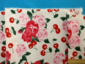 ȃvgn(TUNX)o/ځEIt×ԁi110cm@2mj