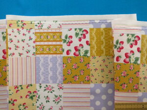 ȃvgIbNXnC`S/hbgEIt×JVi110cm@2mj