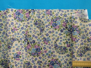 ȃvgn/yCY[O[×u[ni110cm@2mj