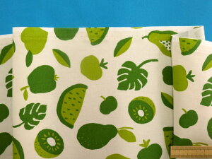 ȃvgIbNXnʕEAC{[×Oi110cm@2mj