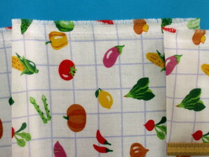 ȃ_uK[[n؁EIt×Oi110cm@1mj