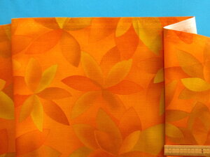 USARbgnԁEIW×Ri110cm@2mj