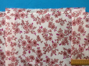 ڐG⊴ȃ_uK[[nԁEIt×sNi110cm@1mj