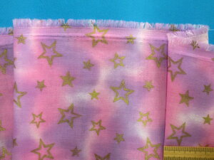 ȃ_uK[[nEsN××i110cm@1mj