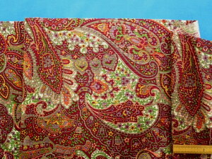 |GXevgjbgnyCY[/ԁE×sNi145cm@1D5mj