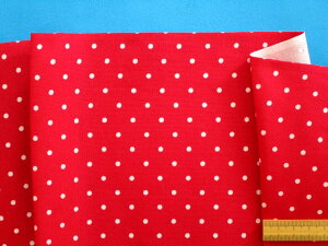 ȃvgnʁE×Iti105cm@2mj