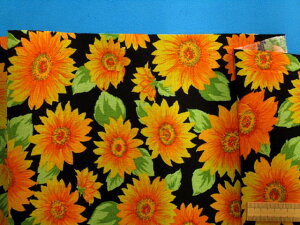 ȃvgnЂ܂E×CG[i110cm@2mj