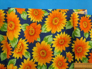 ȃvgnЂ܂E×CG[i110cm@2mj