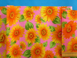 ȃvgnЂ܂EsN×CG[i110cm@2mj