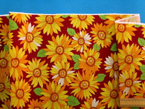 ȃvgnЂ܂EGW×CG[i110cm@2mj